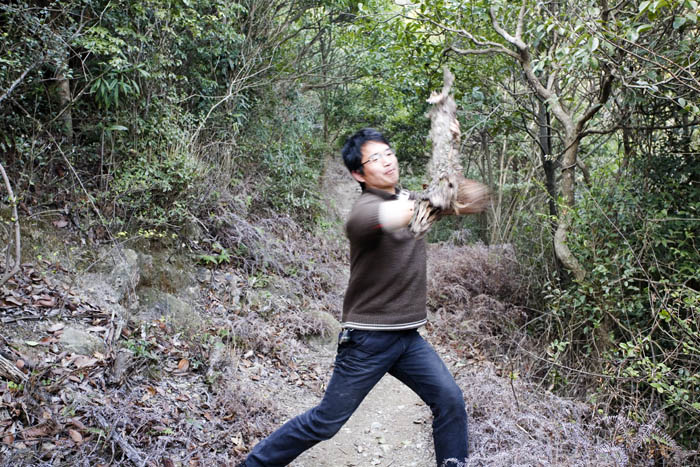 鸟拳