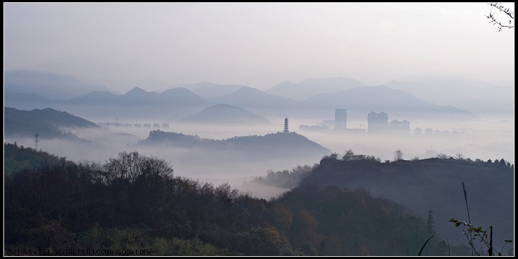 PICT6566-1.jpg