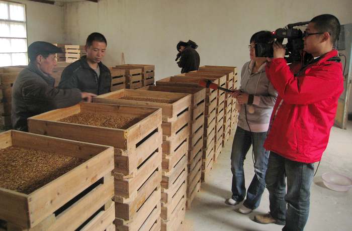 在莲花东林石蛙养殖场拍摄