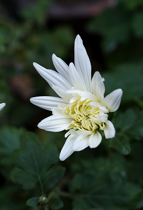 PICT5443.jpg
