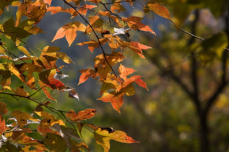PICT6045.jpg