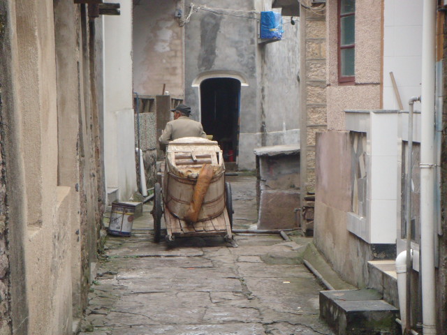 DSC01331.JPG
