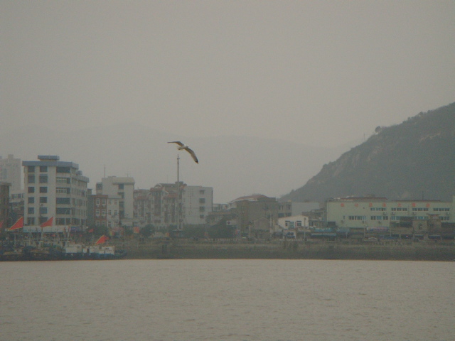 DSC01385.JPG
