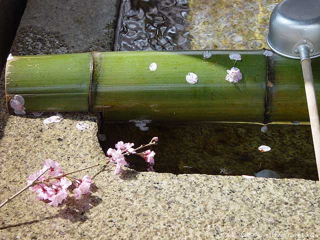 image008.jpg