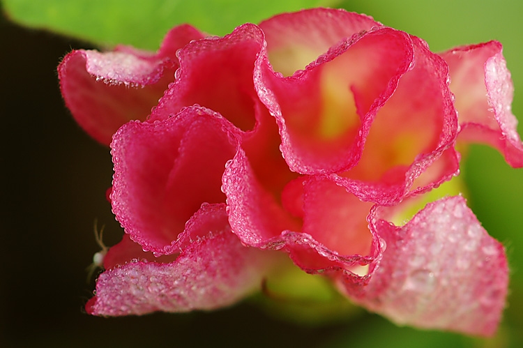 PICT0540.jpg
