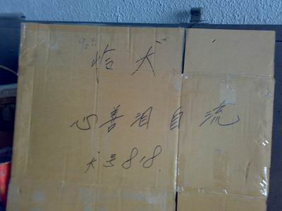 献给818.jpg