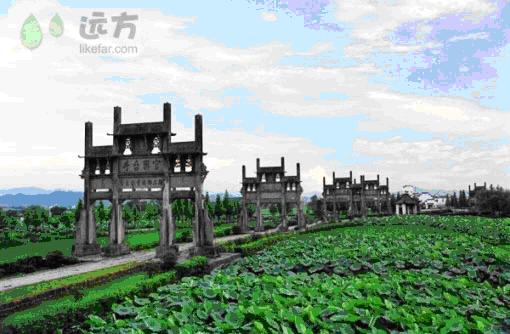 9、棠越牌坊.JPG