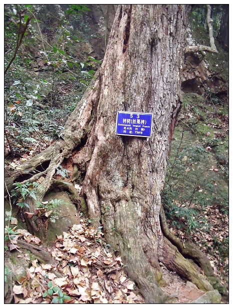 DSCF0489.jpg
