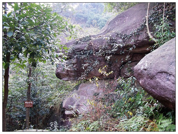 DSCF0419.jpg
