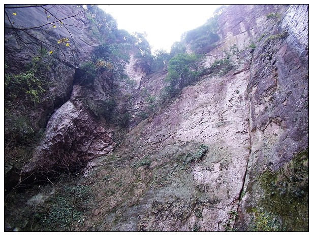 DSCF0384.jpg