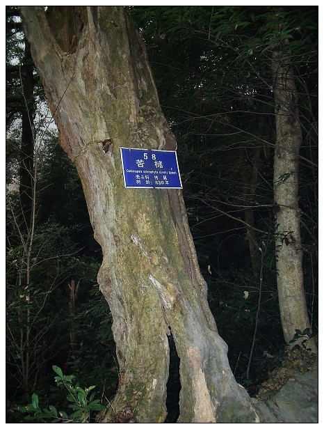 DSCF0480.jpg