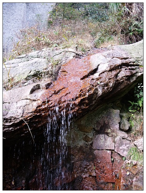 DSCF0381.jpg