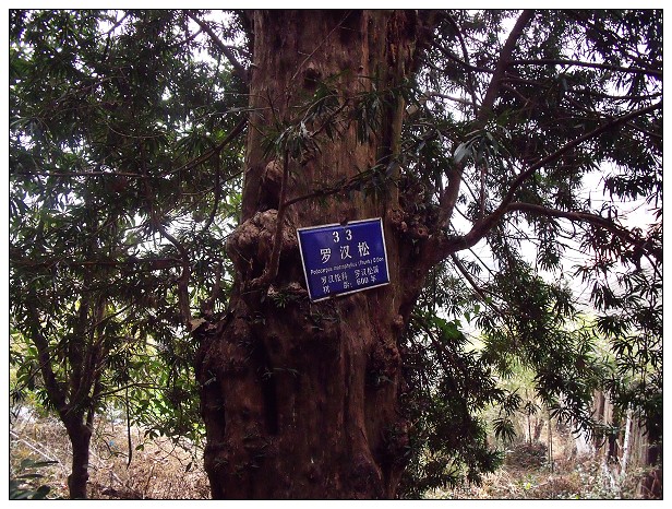 DSCF0496.jpg