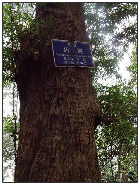 DSCF0492.jpg