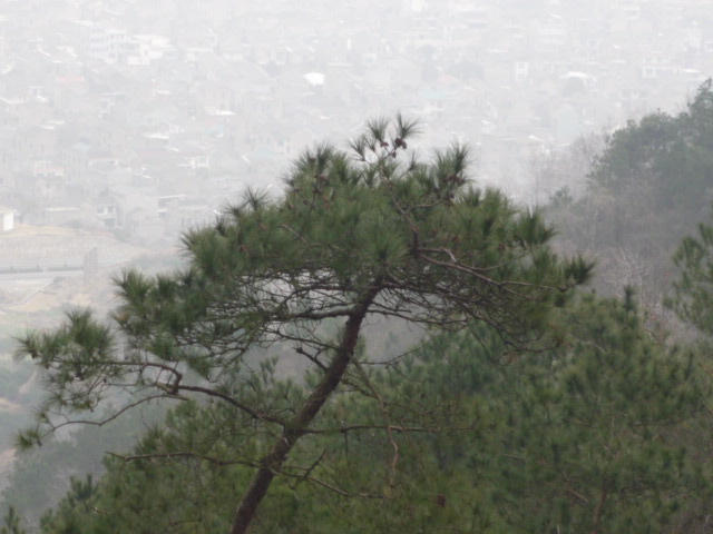 P1020119.JPG