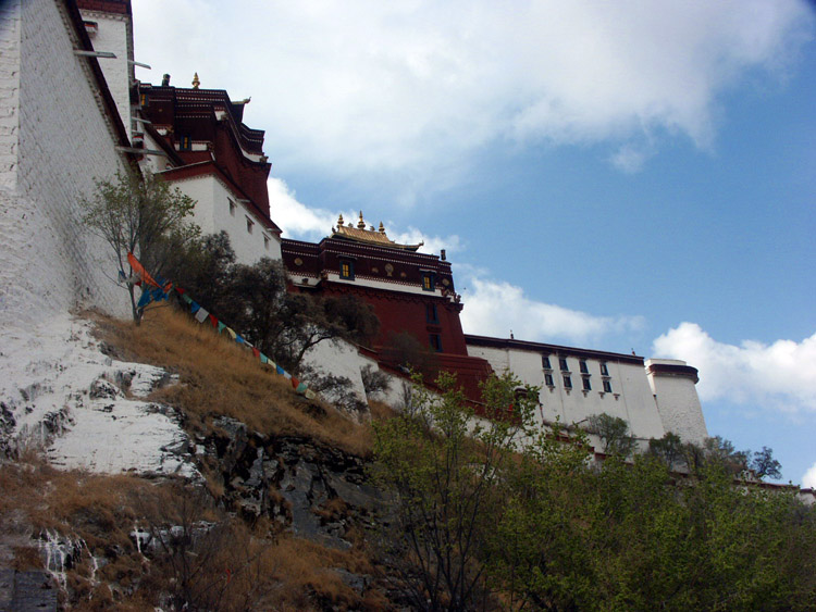 PICT0071.jpg