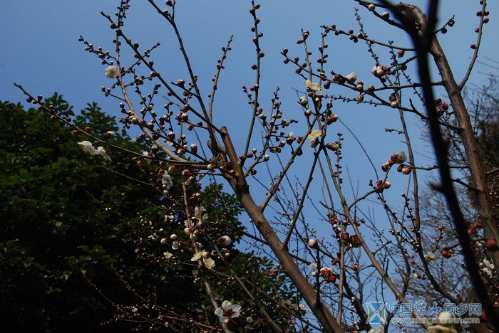 DSC_2415.JPG