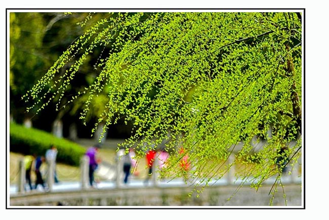 春临东谷湖