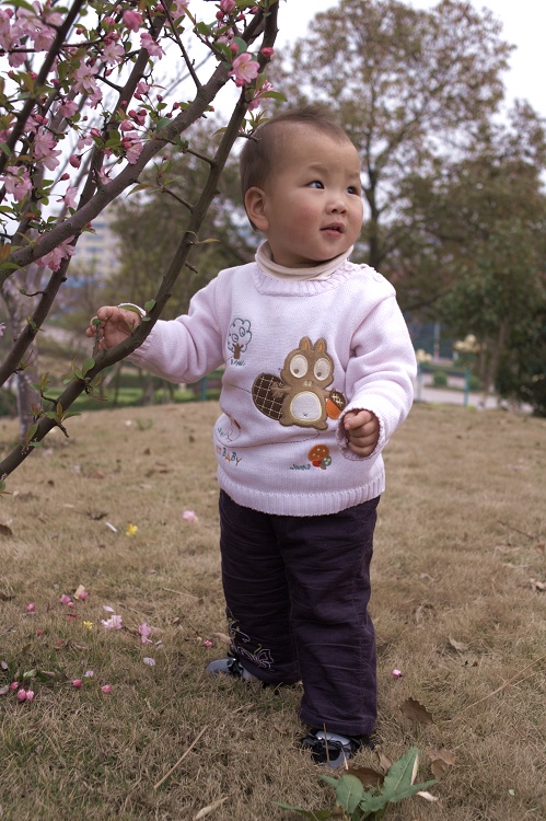 PICT3674.jpg