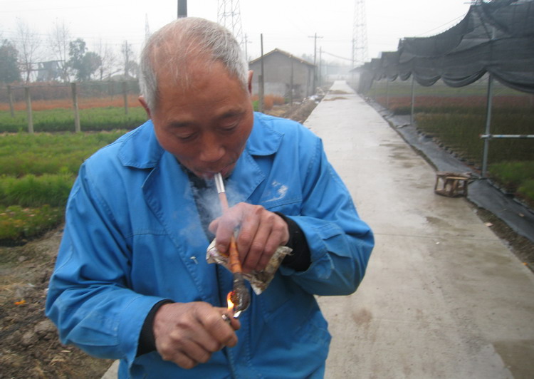 老  农