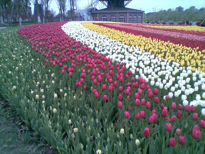 PHOTO1.jpg