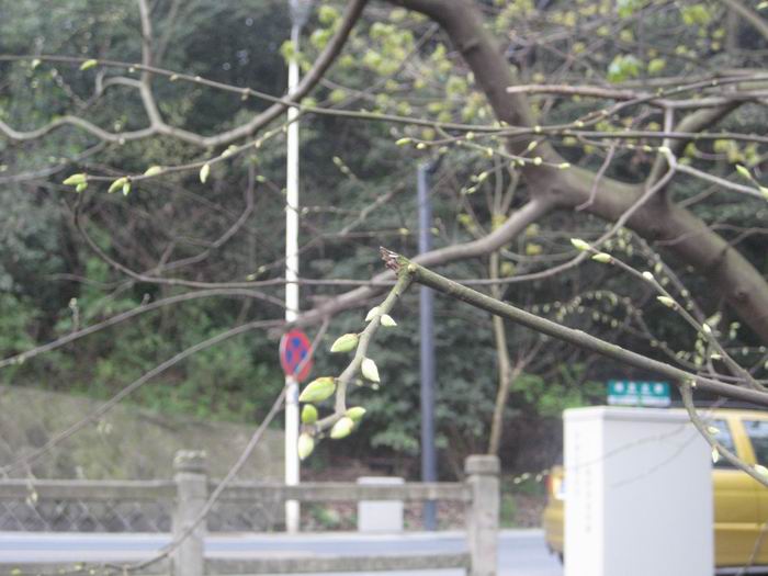 调整大小 IMG_6894.jpg