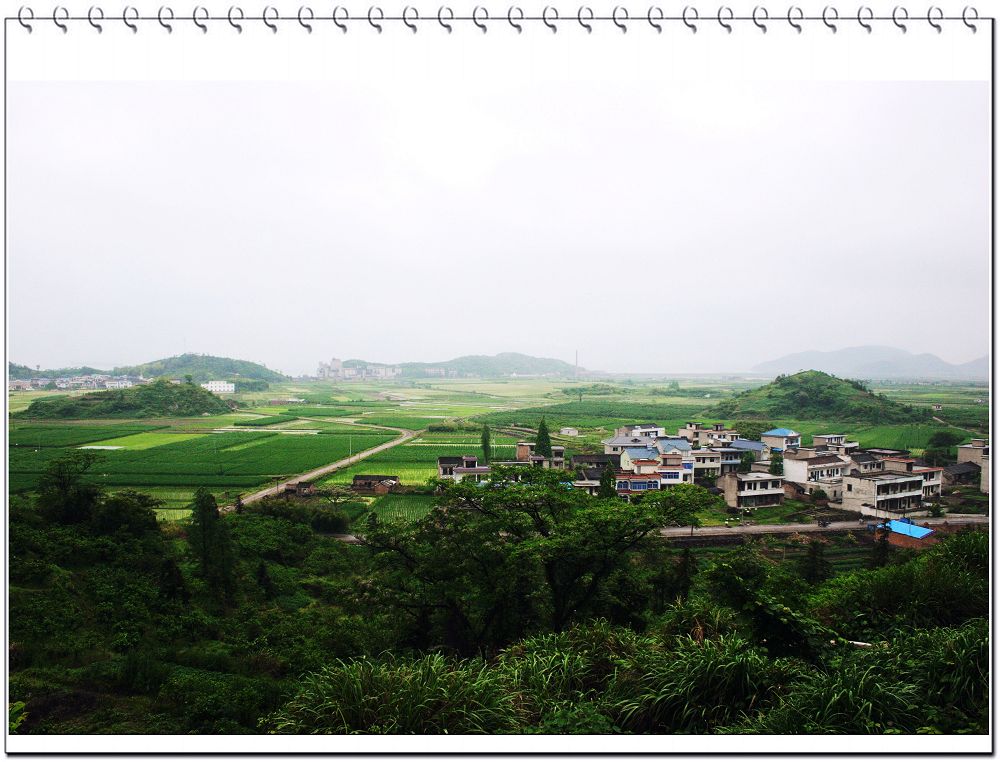 复件 复件 IMG_3382.JPG