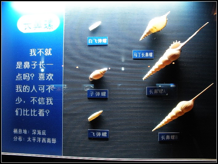 照片 058_nEO_IMG.jpg