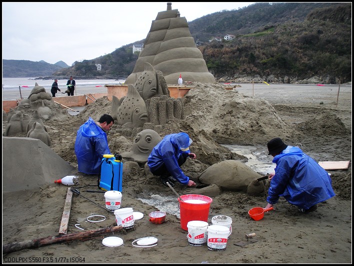 现雕海龟~~