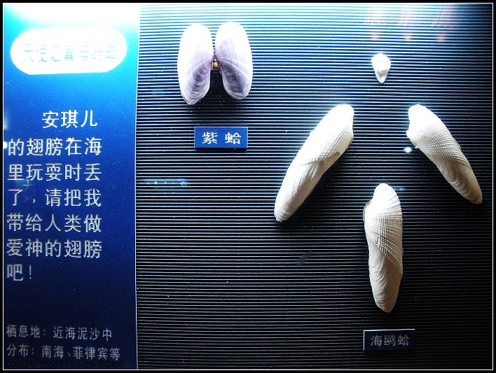 海洋展览馆内