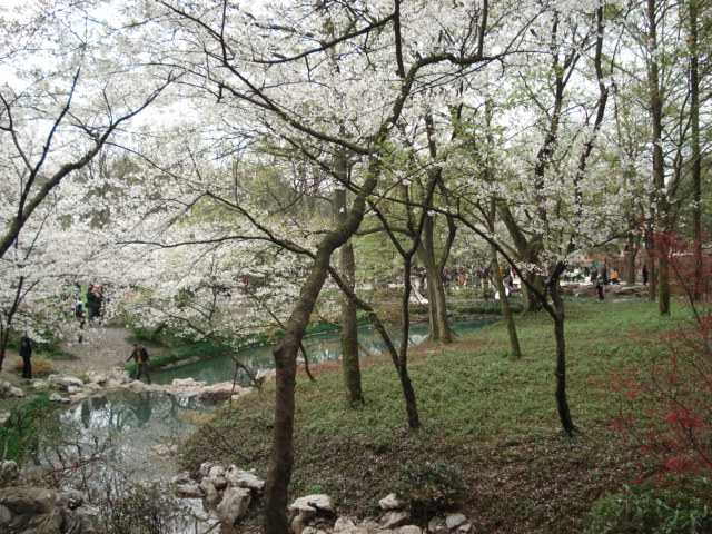 DSC02969.JPG