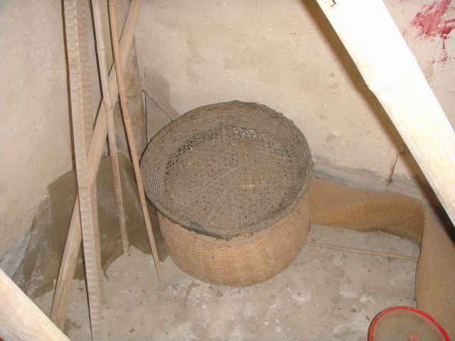DSC01942.JPG