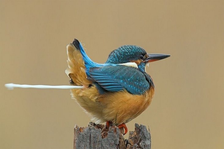 image016.jpg