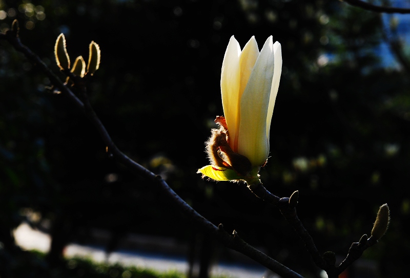 DSC_0024.jpg