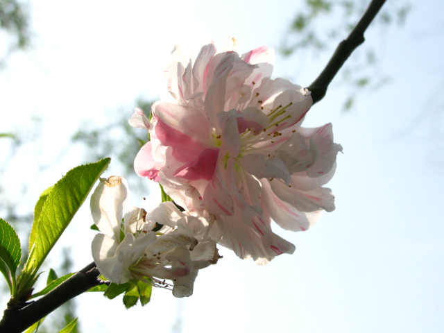 照片 048.jpg