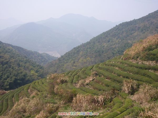 山上景色