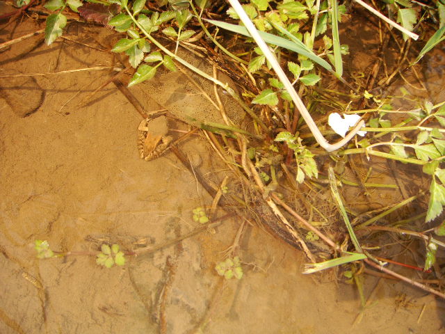 DSC02451.JPG