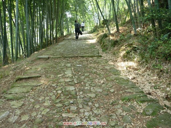 继续上路