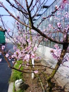 IMG0576A.jpg