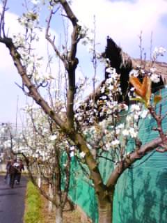 IMG0579A.jpg