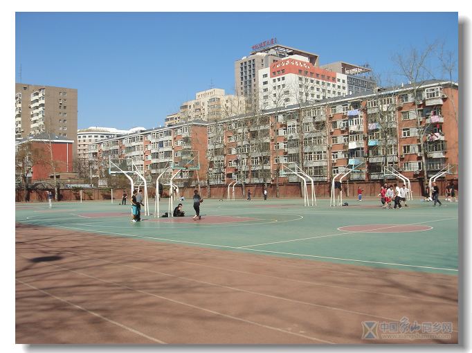 DSC06757.jpg