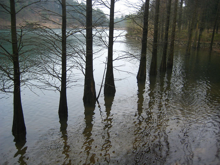 四明山8.jpg