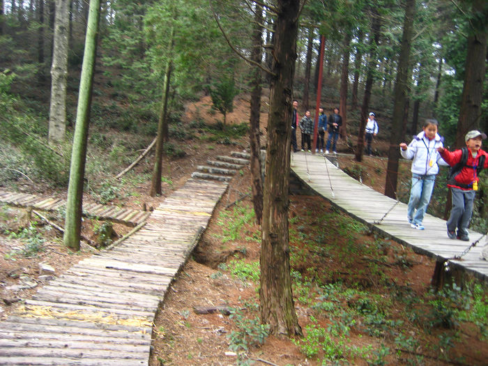 四明山9.jpg