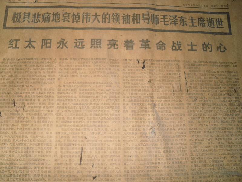 SDC10875.JPG