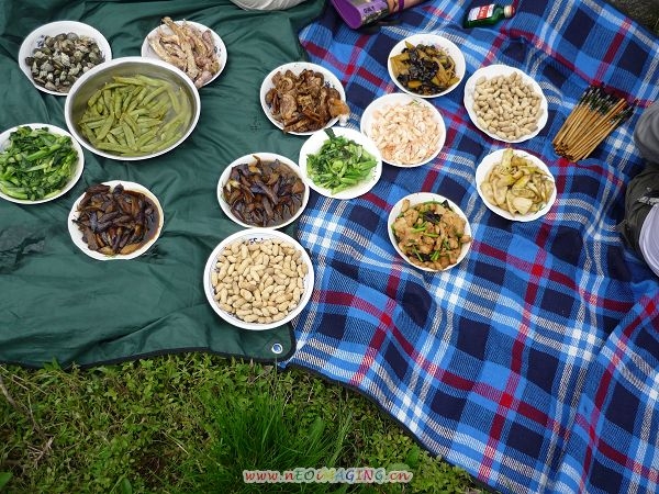 丰富的午餐