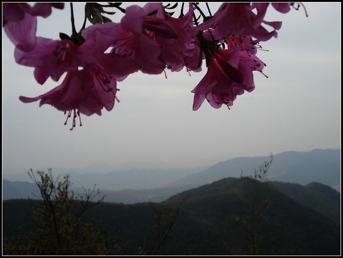 五狮山 (11).jpg