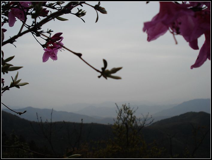 五狮山 (9).jpg