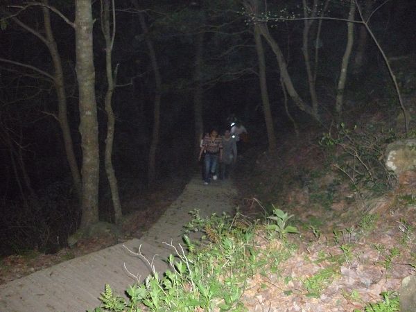 开始上山