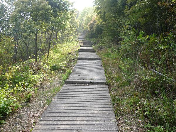 电视塔最陡的一段路