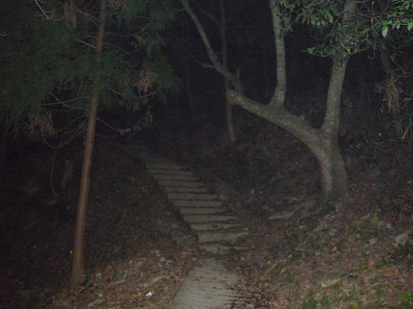今晚的路